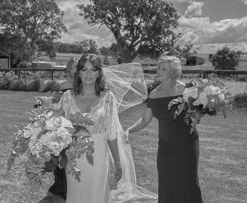 Alistair McNicol Photography